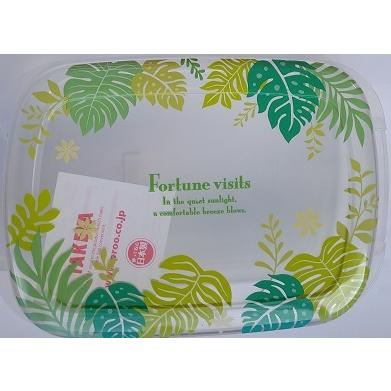 サザンリーフ TV−52L タケヤ化学工業 : 仕入れの味方 - 通販