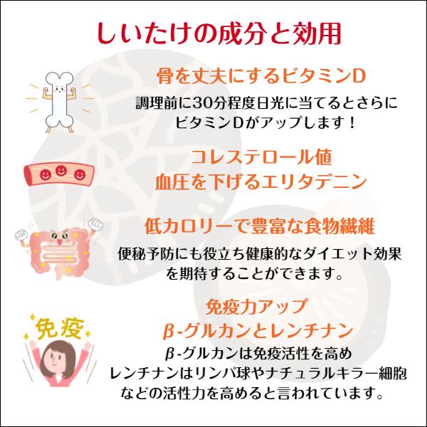 干し椎茸 大分産 肉厚小葉 100g 原木栽培 無農薬 ( 国産 大分県産 しいたけ 干ししいたけ )|shiitake-isekyu|06