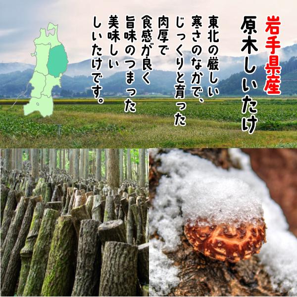 干し椎茸 岩手県産 肉厚 500g 原木栽培 ( 国産 しいたけ 椎茸 シイタケ