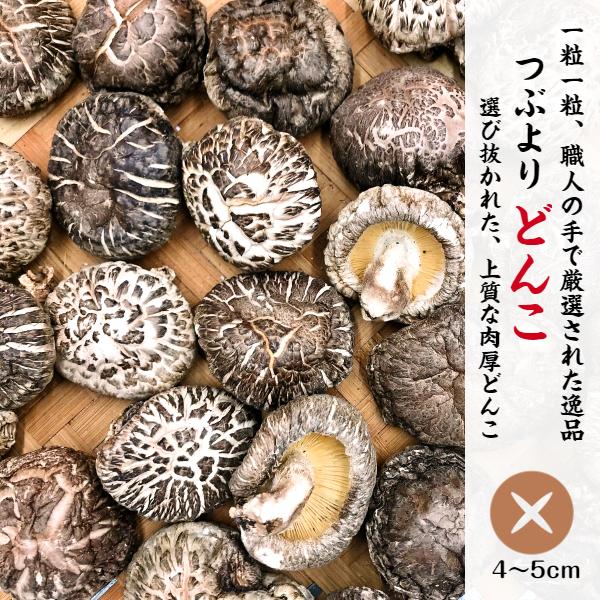 干し椎茸 国産 つぶより どんこ 110g 箱入り ギフト ( お歳暮 お中元