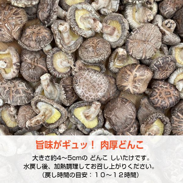 干し椎茸 大分産 どんこ 100g×5袋入 優良品 原木栽培 ( 国産