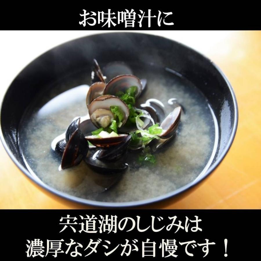 シジミ 宍道湖産 Mサイズ 500g 料理人特製 シジミの醤油漬け 1パック 冷凍 条件付き送料無料 |  | 03