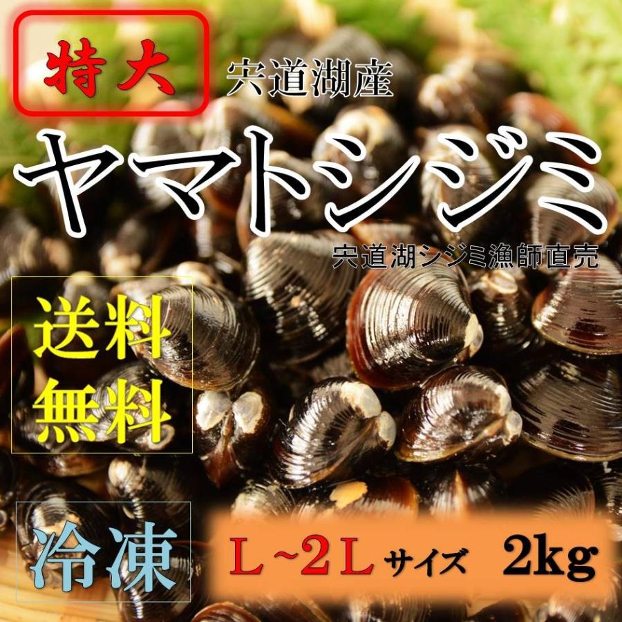 シジミ 宍道湖産 Lサイズ ２ｋｇ 送料無料 冷凍 砂抜き済み｜shijimikaki-nishio