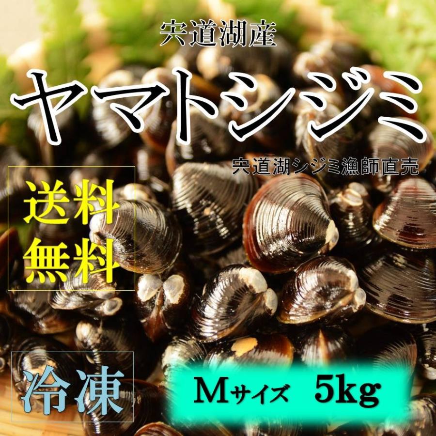 リピート多数  【MJVPV27ADRM】 限定デザイン