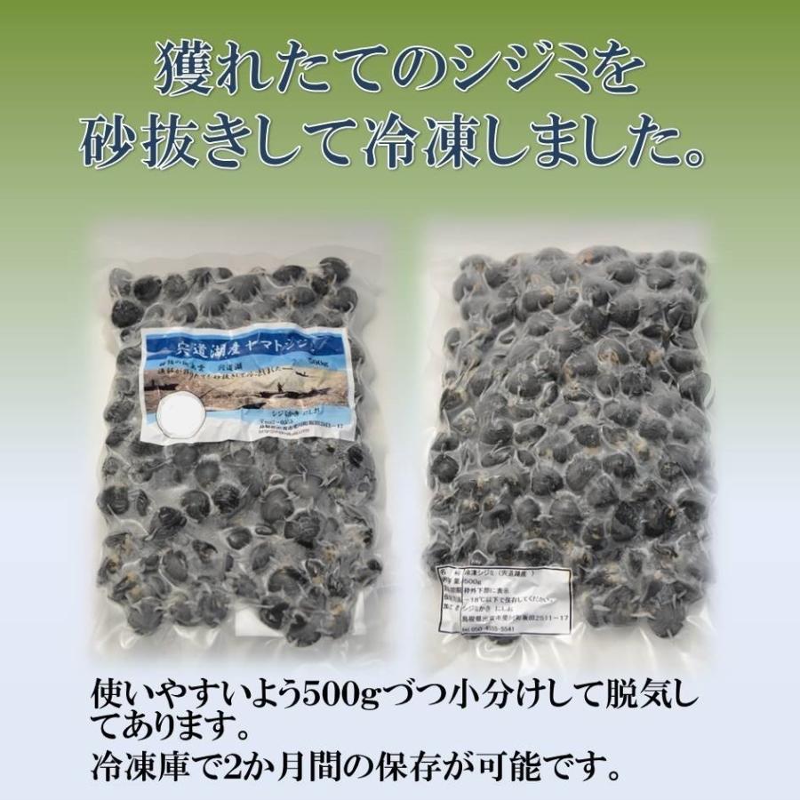 シジミ 宍道湖産 Mサイズ500ｇ Lサイズ500ｇ 送料無料 冷凍｜shijimikaki-nishio｜02