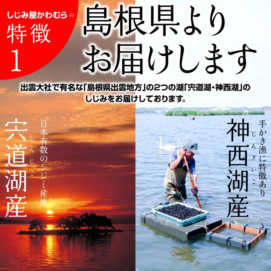 島根県・宍道湖産冷凍しじみ　Mサイズ 3kg（1kg×3袋・3キロ）送料無料 砂抜き済 シジミ 蜆 お取り寄せ しじみ屋かわむら【M3】｜shijimiyakawamura｜04