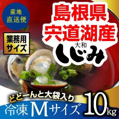 SNSで話題 本日発送  【M2HBBSC528N】 限定デザイン