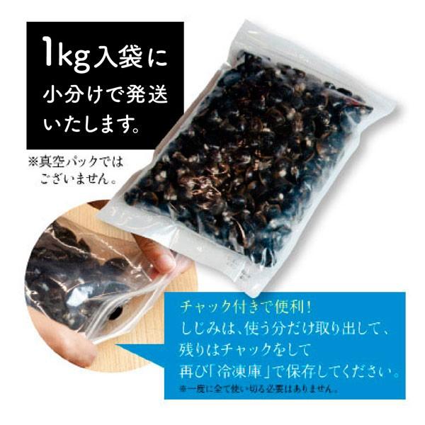 島根県・宍道湖産冷凍しじみ　Mサイズ 10kg（1kg×10袋・10キロ）送料無料 砂抜き済 シジミ 蜆 お取り寄せ しじみ屋かわむら【M10】｜shijimiyakawamura｜02