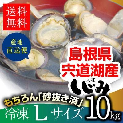 今季注目 あす楽対応  【MDEHS0OXY84】 限定デザイン