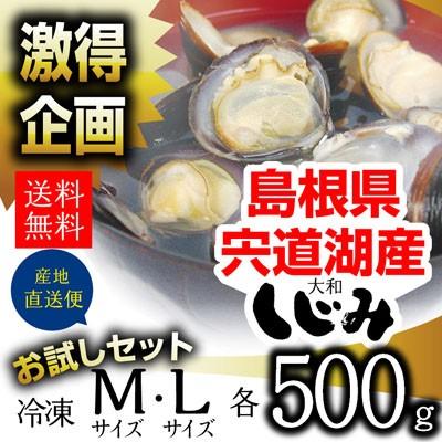 お取り寄せ グルメ お試し しじみ 島根県 宍道湖産冷凍しじみ M Lサイズセット 1kg M500g L500g Ml05 K しじみ屋かわむら 通販 Yahoo ショッピング