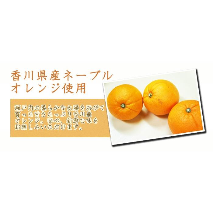 瀬戸内芳醇オレンジケーキ 小丸6個入 ギフト 誕生日 記念日 Houjyun Orange Komaru シカ ヤフー店 通販 Yahoo ショッピング