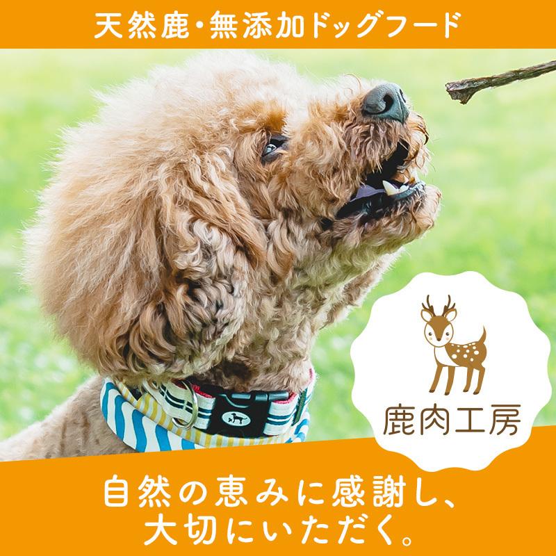 犬 おやつ 鹿肉 アキレス ジャーキー 1g ドッグフード 無添加 国産 兵庫県産 アレルギー ナチュラル ドライ ヒューマングレード トレーニング 餌 子犬 大型犬 Jea 01 鹿肉工房 通販 Yahoo ショッピング