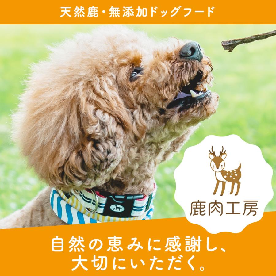 犬 鹿肉 しか肉 500g 無添加 国産 兵庫県産 アレルギー ナチュラル ドライ ヒューマングレード 犬用 体重管理 チキンアレルギー グレインフリー 餌 子犬大型犬 Ra 0500 鹿肉工房 通販 Yahoo ショッピング