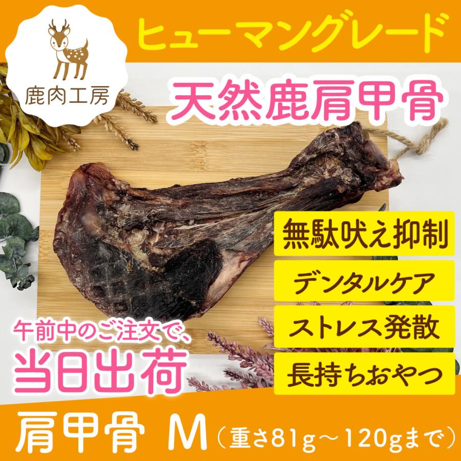 犬 鹿 肩甲骨 M 重さ51g 80ｇまで 無添加 国産 兵庫県産 ご褒美 歯石取り歯磨き 無駄吠え防止しつけ犬用 餌 子犬 大型犬 シニア ダイエット ギフト Sc M 鹿肉工房 通販 Yahoo ショッピング