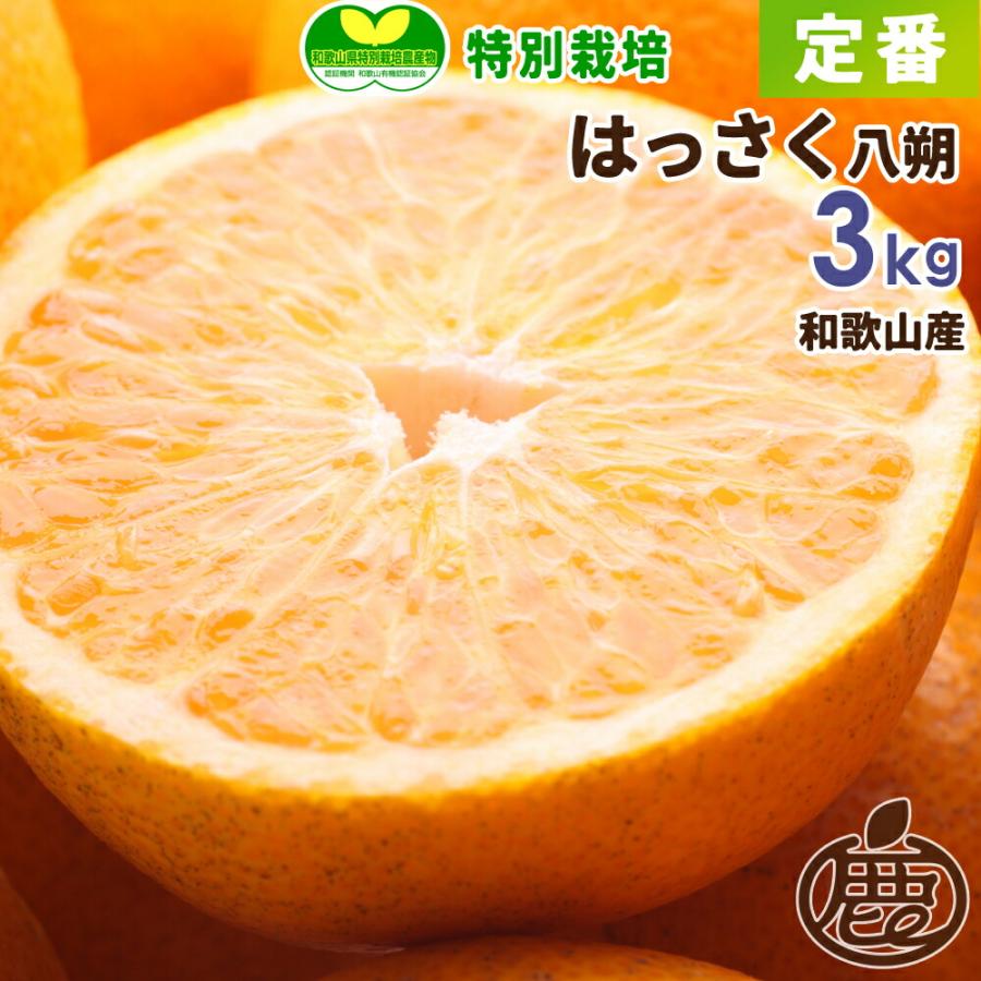 特別栽培 定番 はっさく3kg 減農薬栽培 有機肥料100 八朔 ハッサク 送料無料 T T Hassaku 30 池田鹿蔵みかん農園 通販 Yahoo ショッピング