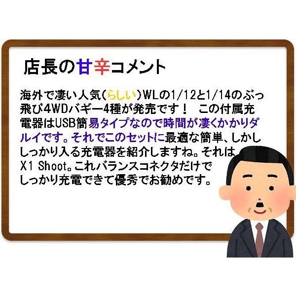 【GWセール開催中】WL 1/14 4WD ドライビング 最高60km/h 塗装済 完成品 144001-GN 日本正規品 技適認証済 ハイテック｜shiki2011｜06