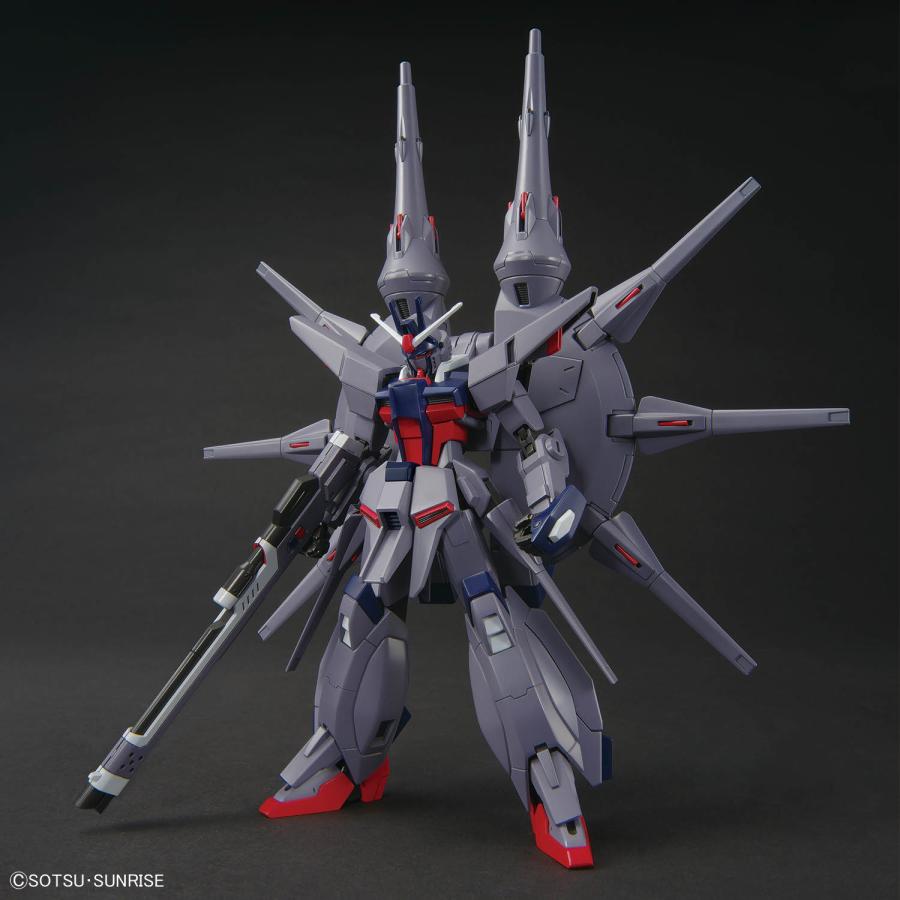 ガンダム バンダイ HG 263 1/144 『機動戦士ガンダムSEED DESTINY