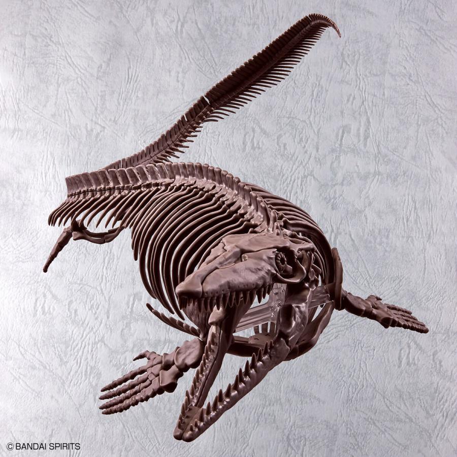 バンダイ 1/32 Imaginary Skeleton モササウルス 5065428 プラモデル フィギュア 恐竜 プレゼント 骨格 在庫分｜shiki2011｜04