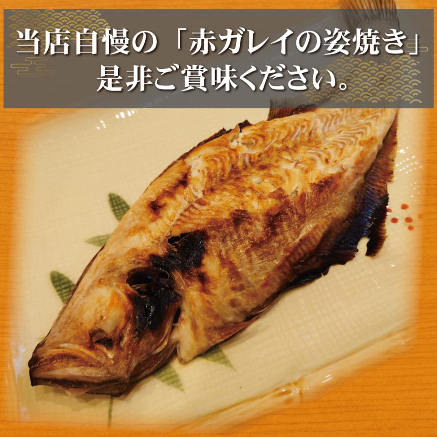上品な 魚 カレイ 赤ガレイ 焼きカレイ 丸焼き 1尾中 越前ガレイ クチボソ 焼き魚 焼魚 福井 ギフト 海鮮 四季のおもてなし 兼八 Materialworldblog Com