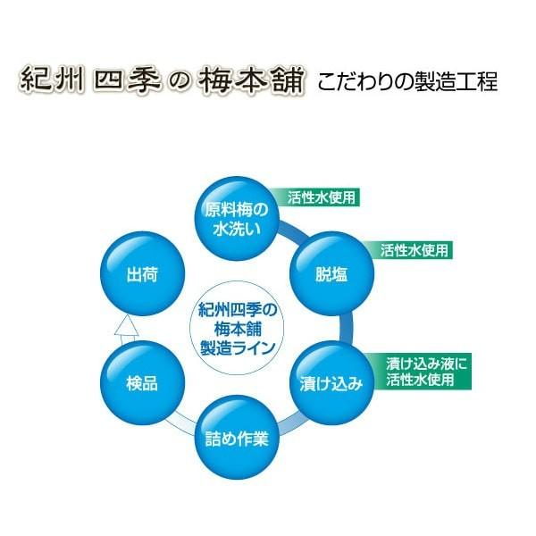 送料無料 梅干し 紀州南高梅 ご家庭用 3kgセット（1kg×3個）甘味料・着色料不使用｜shikinoume-osaka｜09