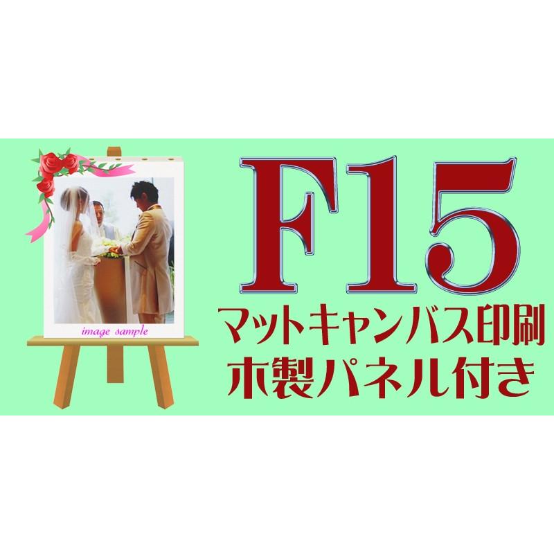 キャンバスパネルf15 530ミリ 652ミリ 24ミリ マットキャンバス Viaprodesarrollo Edu Py Index Php