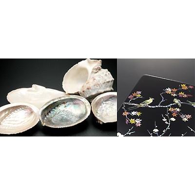 お盆 24cm 木製 トレー あわび貝 螺鈿装飾 丸盆 高岡漆器 朱色 梅 : 和