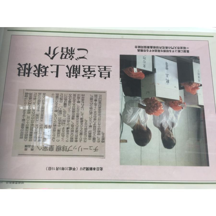 チューリップ 球根 最高級の皇室献上品 富山県産 砺波 50個 お任せミックス Kenjyo Kyukon50 和柄雑貨 四季彩の店 一新堂 通販 Yahoo ショッピング