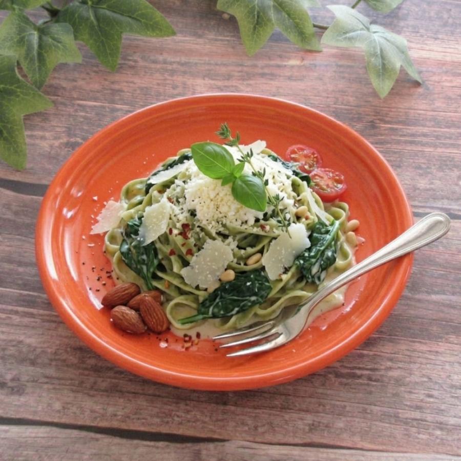 皿 パスタ皿 カレー皿 23cmミート皿 マンダリンオレンジ オービット