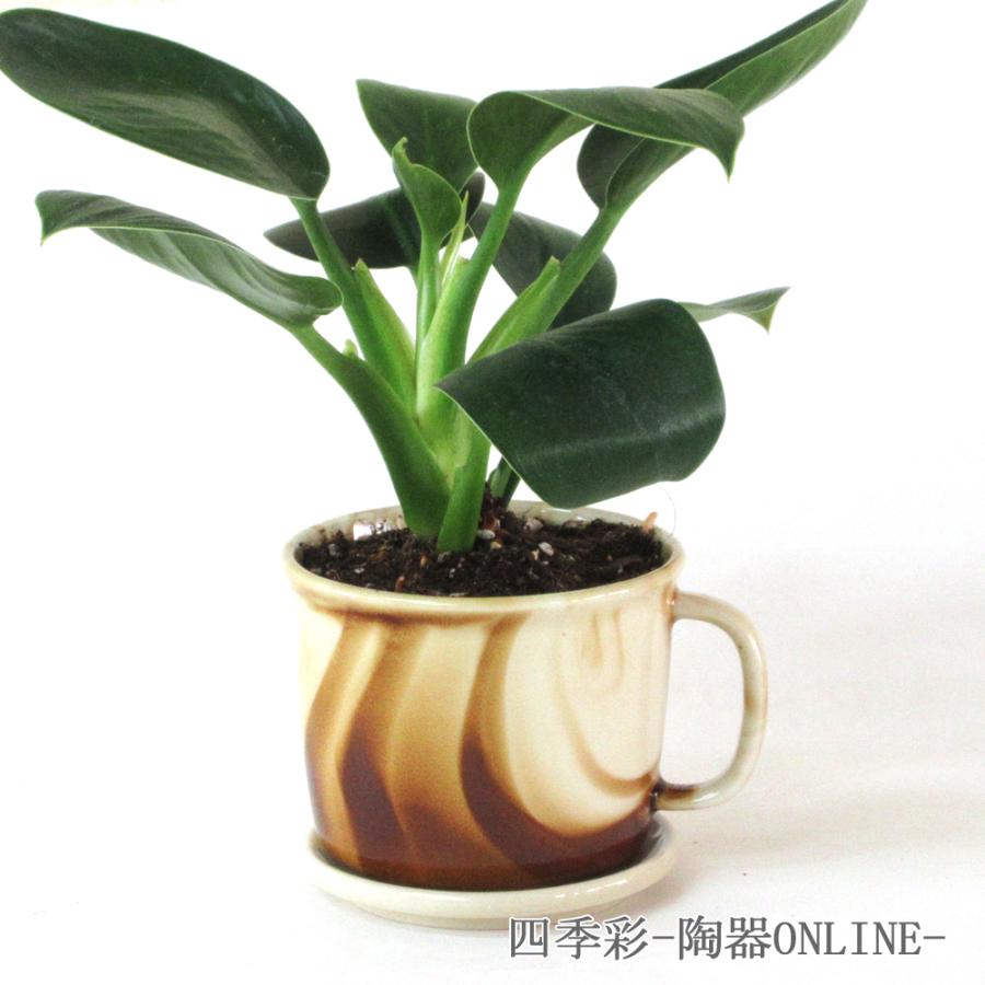 植木鉢 受け皿 セット ブラウン マグカップ おしゃれ 鉢 陶器 美濃焼 Sh 104 四季彩 陶器online 通販 Yahoo ショッピング