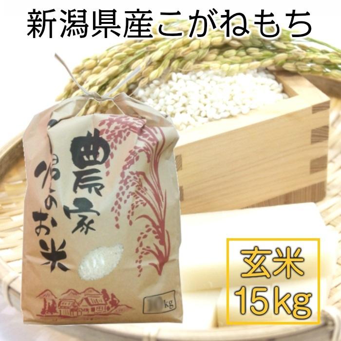 期間限定販売】 新米 令和7年度 新潟県矢代産 こがねもち 玄米15kg 