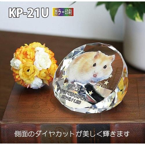 ペット位牌 クリスタル位牌 KP-21U (小） カラー印刷 高さ6.5cm 手元供養 写真 モダン ミニモダン 厨子 ペット 供養(H)