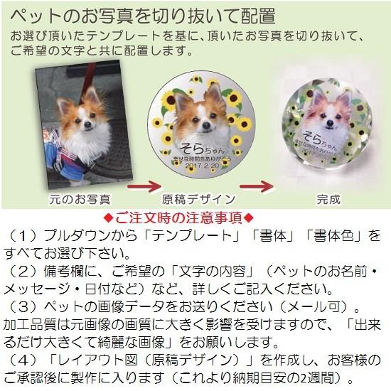 クリスタル位牌 KP-23U 中【カラー印刷】ペットメモリアル ◆6テンプレートから選ぶ！_1