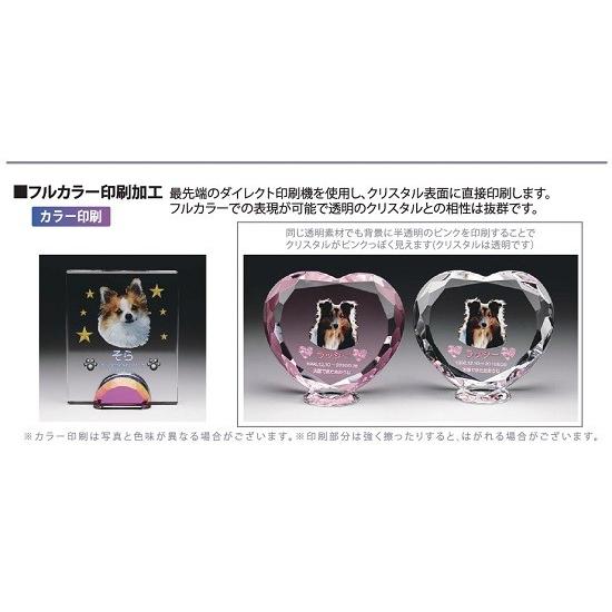 クリスタル位牌 KP-23U 中【カラー印刷】ペットメモリアル ◆6テンプレートから選ぶ！_7