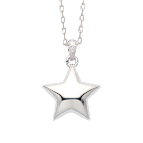 ・遺骨ペンダント スター シルバー925 ソウルジュエリー SoulJewelry_1