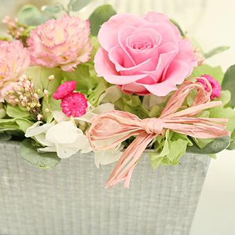 卸売 プリザーブドフラワーgarden ガーデン キット 作り方説明書付き 送料無料 ハンドメイド ギフト インスタ映え おしゃれ Aynaelda Com