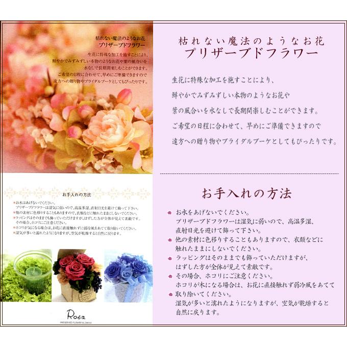 大流行中 プリザーブドフラワーmary マリー キット 作り方説明書付き ハンドメイド ギフト インスタ映え 輝く高品質な Giftideasforall Com