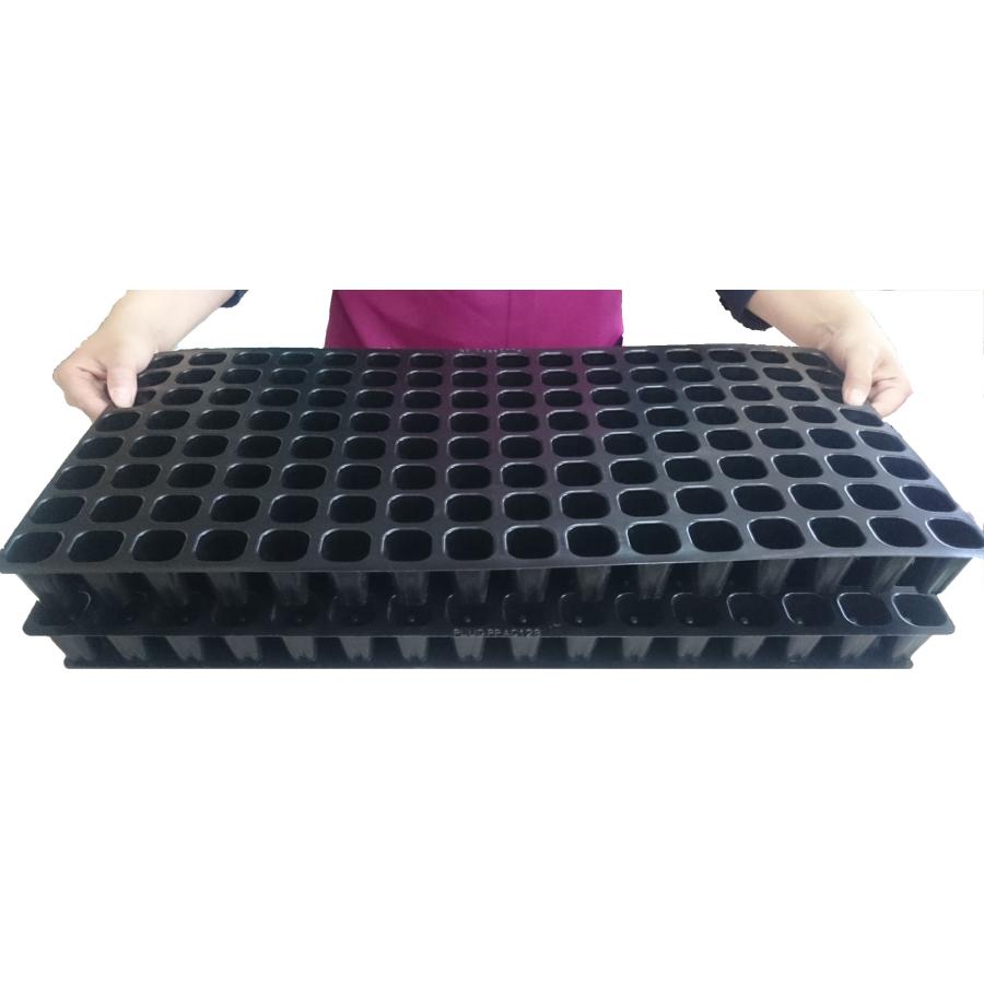 ぴょんたくん【苗取出し器】※商品説明を必ずお読みください : しこく