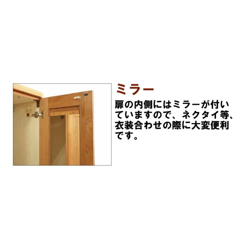 ステラスタンダード １１０洋服 Ｈ＝１８２・３枚扉 (ダーク) (配送員設置)_3