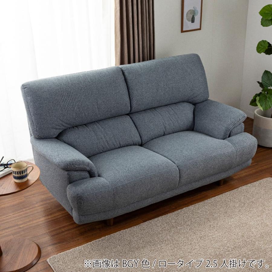 2人掛けソファー デビュー077 2S ロータイプSH38