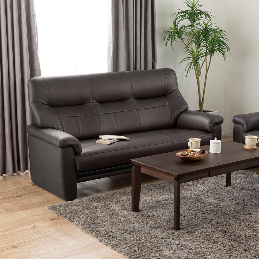 3人掛けソファ マーレ 奥浅(78cm) D-T2448 (配送員設置) : 島忠