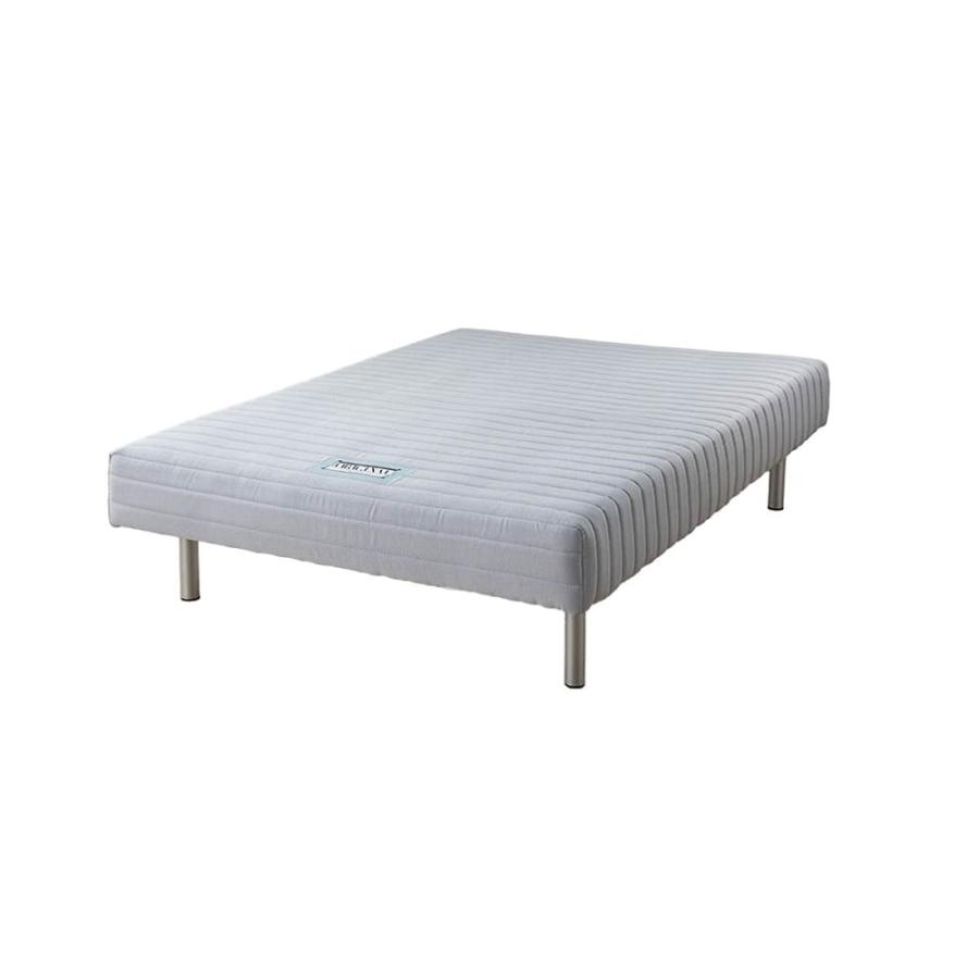 フランスベッド（FRANCEBED） ダブルベッド ミハシー 脚高250mm