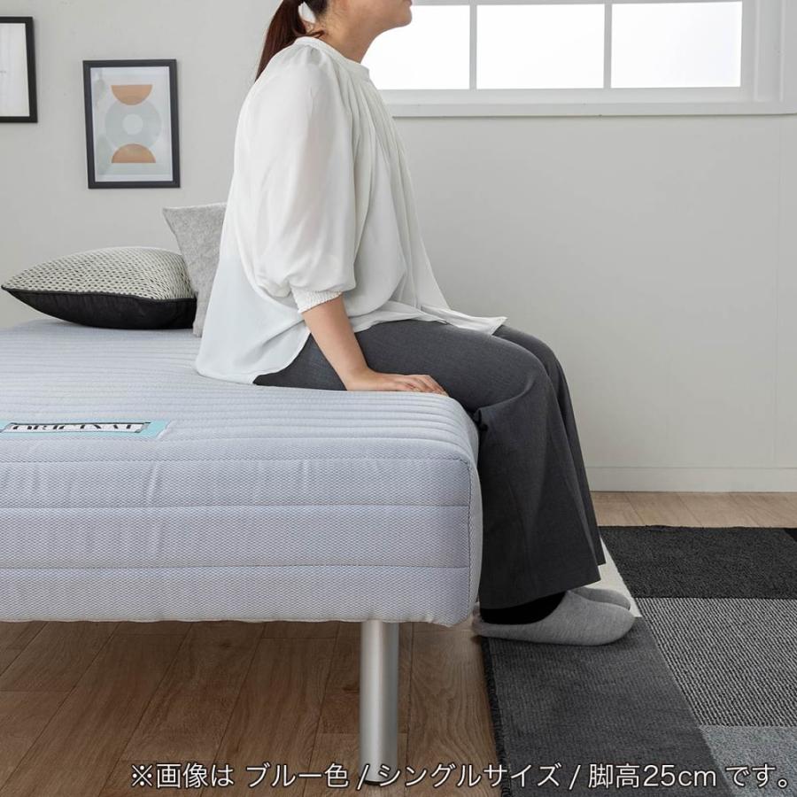 フランスベッド FranceBed 脚付きベッド ベッド 脚付き フランスベッド FranceBed 脚付きベッド ベッド 脚付き