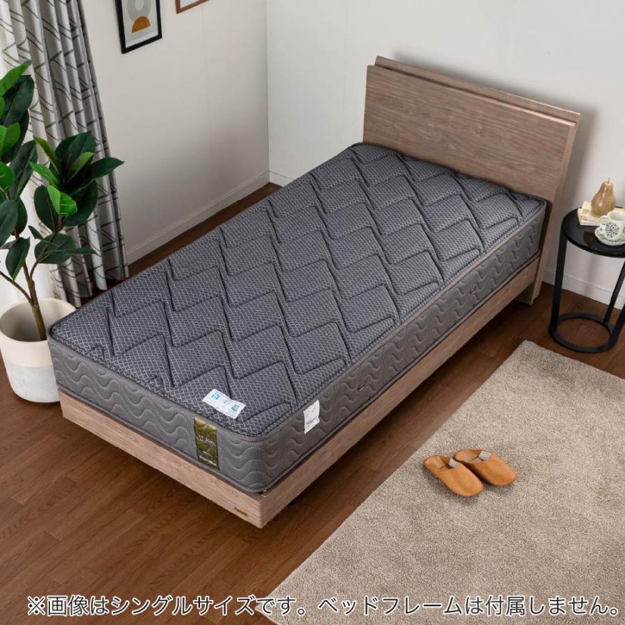 フランスベッド フランスベッド ワイドダブルマットレス LT