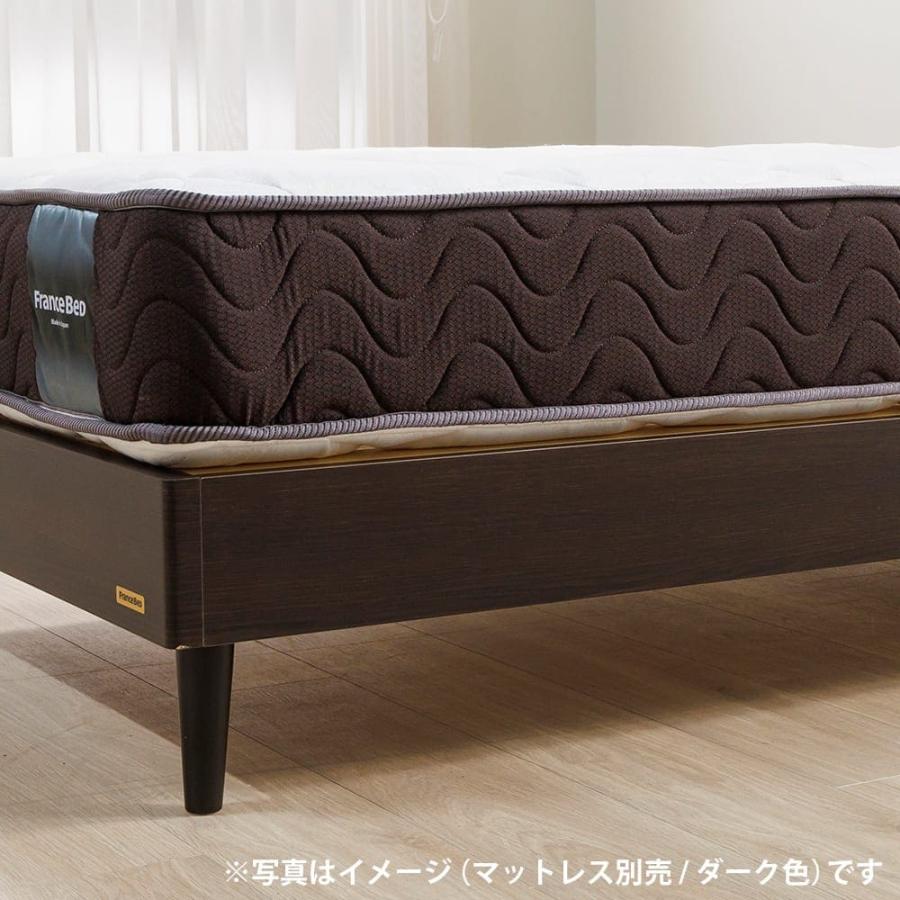 フランスベッド（FRANCEBED） ダブルフレーム チョイスミーSC260 
