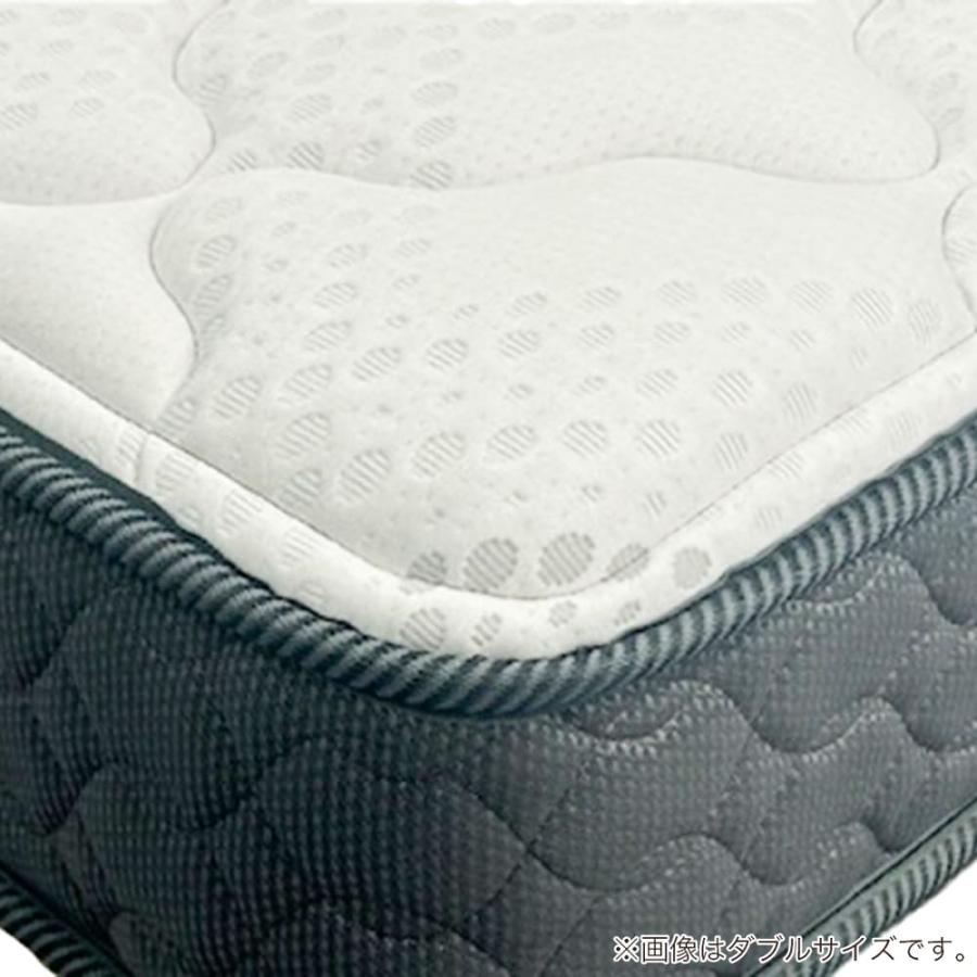 フランスベッド（FRANCEBED） 【価格改定】[フランスベッド]セミ