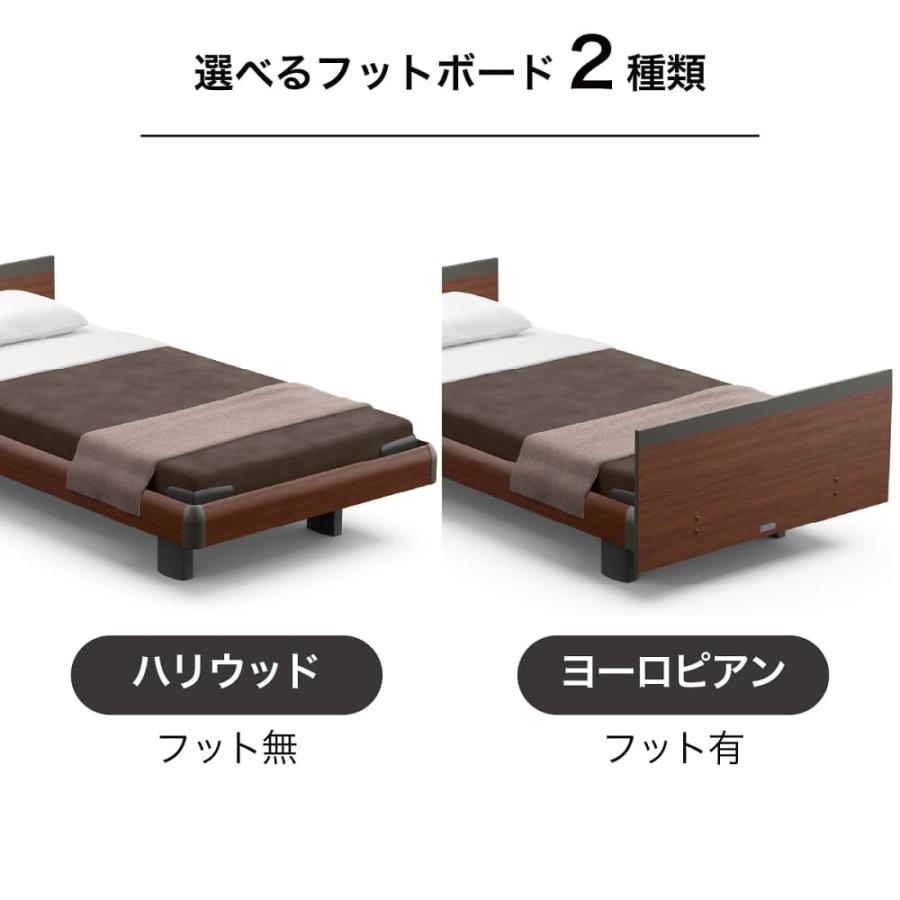 電動シングル寝台 ひな型Ｃ Ｓ A印字機 ＲＡ−Ｃ１Ａ５ＣＣ １＋１Ｍ正六面体 ハリウッド ※マットレス別売 (送りとどける員取りつける)