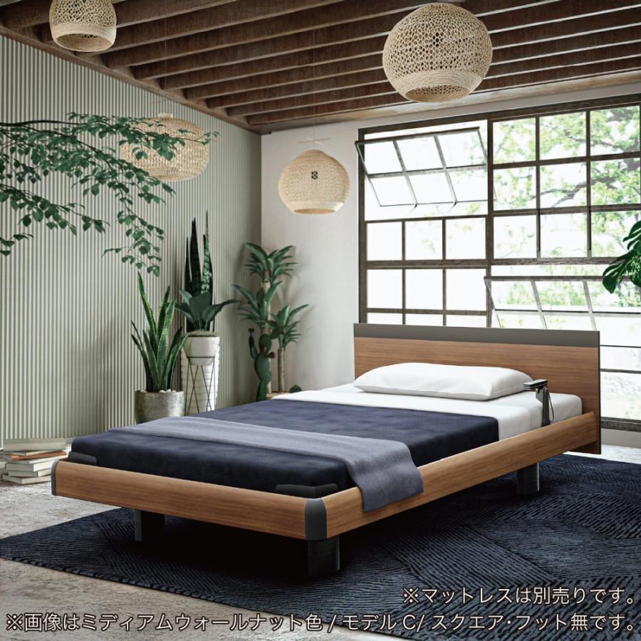 電動シングル寝台 ひな型Ｃ Ｓ A印字機 ＲＡ−Ｃ１Ａ５ＣＣ １＋１Ｍ正六面体 ハリウッド ※マットレス別売 (送りとどける員取りつける)