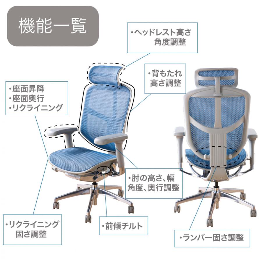 関家具 エルゴヒューマン2 EJ2-HAM-BF-BL(配送員設置) : 島忠