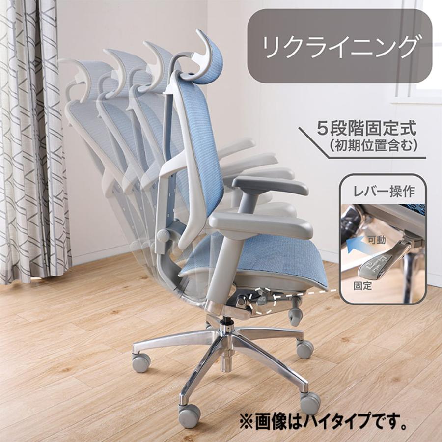 関家具 エルゴヒューマン2 EJ2-LAM-BF-WH(配送員設置) : 島忠