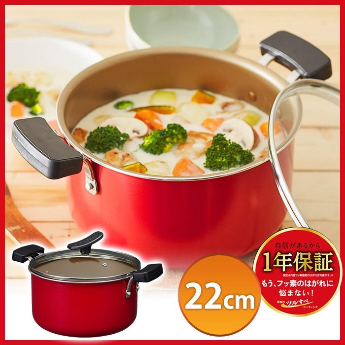 evercook 両手鍋 22cm ガラスふた付き ドウシシャ evercook (エバークック) 22cm 両手鍋 (22cm) ガラス蓋つき
